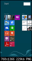Hat die Windows RT Variante eine Zukunft?-screenshot.png