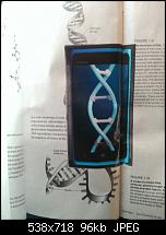 Windows Phone 7 in der Presse-wp_001083.jpg