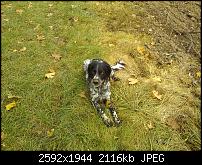 Windows Phone 7 720p Beispiel Videos "egal von welchem Gerät" hier rein bitte.-wp_000021.jpg