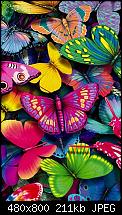 Wallpaper für dein Windows Phone *Hier*-butterflies.jpg
