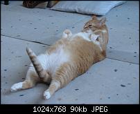 Fotos umbenennen-img_3152_3_1.jpg