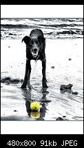 Wallpaper für dein Windows Phone *Hier*-backgrounds_17611.jpg