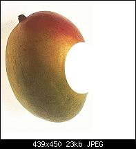 Mango - Tango - Apollo (der Off-Topic-Zeitvertreib-Thread)-20080411-mango.jpg