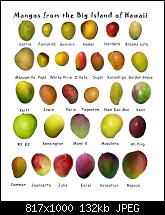 Mango - Tango - Apollo (der Off-Topic-Zeitvertreib-Thread)-mango-types.jpg