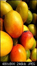 Mango - Tango - Apollo (der Off-Topic-Zeitvertreib-Thread)-mangos_smart_alex.jpg