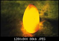 Mango - Tango - Apollo (der Off-Topic-Zeitvertreib-Thread)-x-ray-mango-1-fi4kq7i979-1280x800.jpg