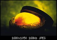 Mango - Tango - Apollo (der Off-Topic-Zeitvertreib-Thread)-x-ray-mango-3-onnwksa2x8-1680x1050.jpg