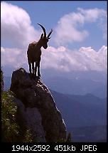 Schöne Bilder, die Ihr mit Euren Windows Phones gemacht habt.-wp_000072.jpg