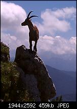 Schöne Bilder, die Ihr mit Euren Windows Phones gemacht habt.-wp_000073.jpg