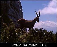 Schöne Bilder, die Ihr mit Euren Windows Phones gemacht habt.-wp_000088.jpg