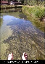 Schöne Bilder, die Ihr mit Euren Windows Phones gemacht habt.-wp_000093.jpg