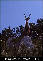 Schöne Bilder, die Ihr mit Euren Windows Phones gemacht habt.-wp_000083.jpg