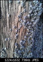 Schöne Bilder, die Ihr mit Euren Windows Phones gemacht habt.-wp_000036.jpg