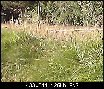 Schöne Bilder, die Ihr mit Euren Windows Phones gemacht habt.-unbenannt.png