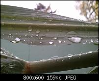 Schöne Bilder, die Ihr mit Euren Windows Phones gemacht habt.-wp_000858.jpg