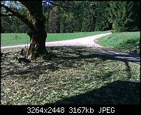 Schöne Bilder, die Ihr mit Euren Windows Phones gemacht habt.-wp_000233.jpg