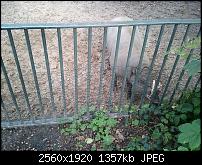 Schöne Bilder, die Ihr mit Euren Windows Phones gemacht habt.-wp_000061.jpg