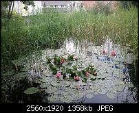 Schöne Bilder, die Ihr mit Euren Windows Phones gemacht habt.-wp_000023.jpg