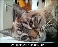 Schöne Bilder, die Ihr mit Euren Windows Phones gemacht habt.-wp_000270.jpg