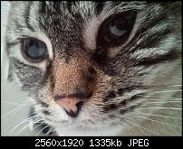 Schöne Bilder, die Ihr mit Euren Windows Phones gemacht habt.-wp_000276.jpg