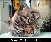 Schöne Bilder, die Ihr mit Euren Windows Phones gemacht habt.-wp_000288.jpg