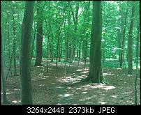 Schöne Bilder, die Ihr mit Euren Windows Phones gemacht habt.-wp_000156.jpg