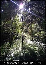 Schöne Bilder, die Ihr mit Euren Windows Phones gemacht habt.-wp_000043.jpg