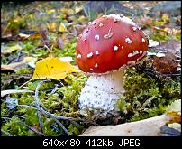 Schöne Bilder, die Ihr mit Euren Windows Phones gemacht habt.-wp_000036.jpg