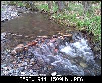 Schöne Bilder, die Ihr mit Euren Windows Phones gemacht habt.-wp_000042-2-.jpg