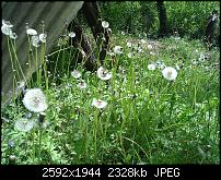 Schöne Bilder, die Ihr mit Euren Windows Phones gemacht habt.-wp_000135.jpg