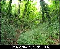 Schöne Bilder, die Ihr mit Euren Windows Phones gemacht habt.-wp_000154.jpg