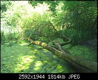 Schöne Bilder, die Ihr mit Euren Windows Phones gemacht habt.-wp_000216.jpg