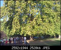 Schöne Bilder, die Ihr mit Euren Windows Phones gemacht habt.-wp_000543.jpg