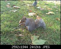 Schöne Bilder, die Ihr mit Euren Windows Phones gemacht habt.-wp_000554.jpg