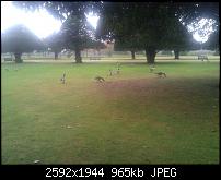 Schöne Bilder, die Ihr mit Euren Windows Phones gemacht habt.-wp_000716.jpg