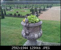 Schöne Bilder, die Ihr mit Euren Windows Phones gemacht habt.-wp_000722.jpg