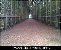 Schöne Bilder, die Ihr mit Euren Windows Phones gemacht habt.-wp_000748.jpg