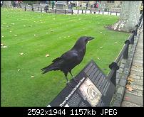 Schöne Bilder, die Ihr mit Euren Windows Phones gemacht habt.-wp_000812.jpg