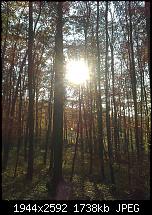 Schöne Bilder, die Ihr mit Euren Windows Phones gemacht habt.-wp_000859.jpg