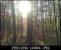 Schöne Bilder, die Ihr mit Euren Windows Phones gemacht habt.-wp_000865.jpg