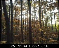 Schöne Bilder, die Ihr mit Euren Windows Phones gemacht habt.-wp_000876.jpg