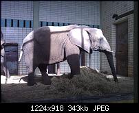 Schöne Bilder, die Ihr mit Euren Windows Phones gemacht habt.-wp_000126.jpg