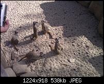 Schöne Bilder, die Ihr mit Euren Windows Phones gemacht habt.-wp_000118.jpg