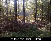 Schöne Bilder, die Ihr mit Euren Windows Phones gemacht habt.-2066743024015.jpg