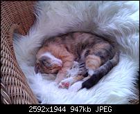 Schöne Bilder, die Ihr mit Euren Windows Phones gemacht habt.-wp_000267.jpg