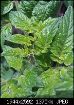 Schöne Bilder, die Ihr mit Euren Windows Phones gemacht habt.-wp_000221.jpg