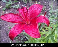 Schöne Bilder, die Ihr mit Euren Windows Phones gemacht habt.-wp_000218.jpg