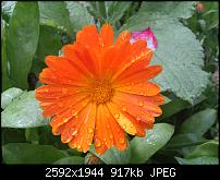 Schöne Bilder, die Ihr mit Euren Windows Phones gemacht habt.-wp_000217.jpg