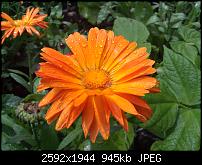 Schöne Bilder, die Ihr mit Euren Windows Phones gemacht habt.-wp_000216.jpg