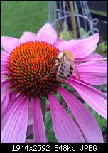 Schöne Bilder, die Ihr mit Euren Windows Phones gemacht habt.-wp_000079.jpg